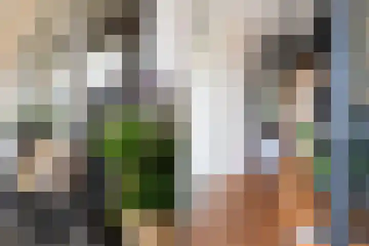Veluwemeer 22 Woerden thumbnail 7