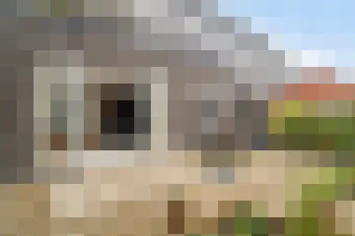 Veluwemeer 227 Woerden thumbnail 30