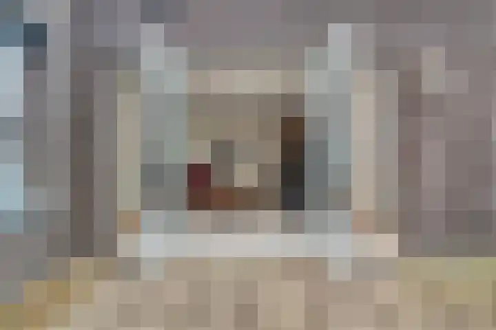 Veluwemeer 227 Woerden thumbnail 31