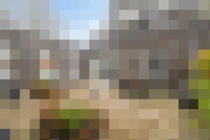 Veluwemeer 227 Woerden thumbnail 33