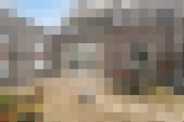 Veluwemeer 227 Woerden thumbnail 34
