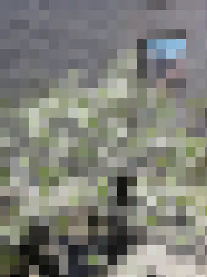 Veluwemeer 227 Woerden thumbnail 37
