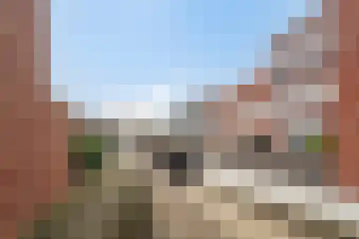 Veluwemeer 227 Woerden thumbnail 39