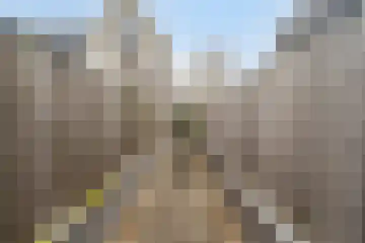 Veluwemeer 227 Woerden thumbnail 45