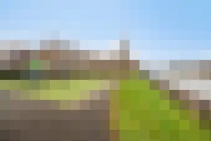 Veluwemeer 227 Woerden thumbnail 46