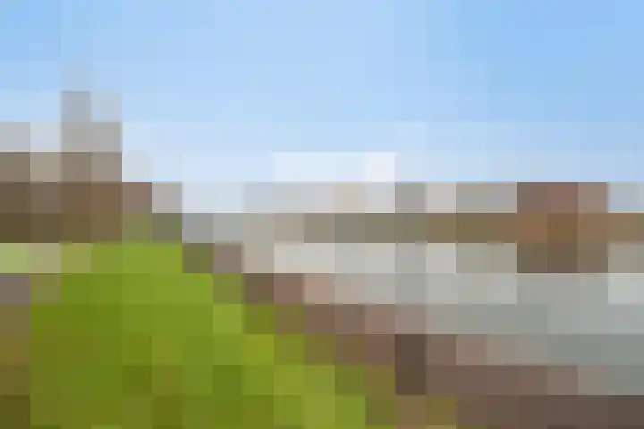 Veluwemeer 227 Woerden thumbnail 47