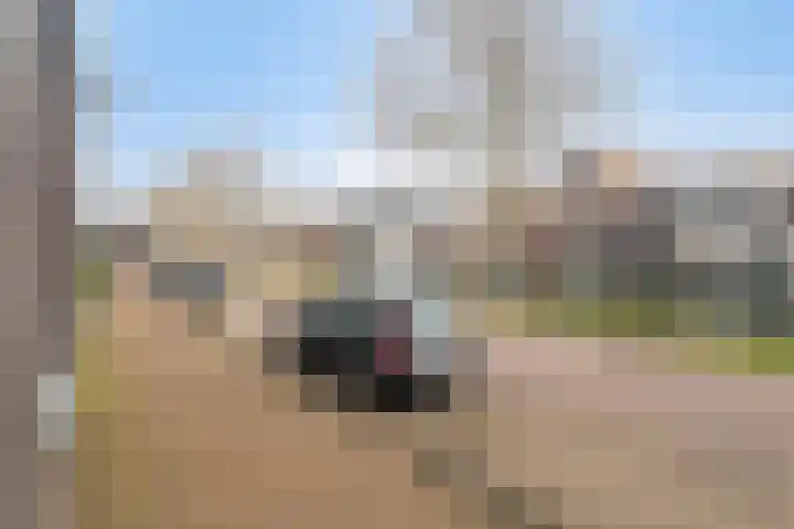 Veluwemeer 227 Woerden thumbnail 6