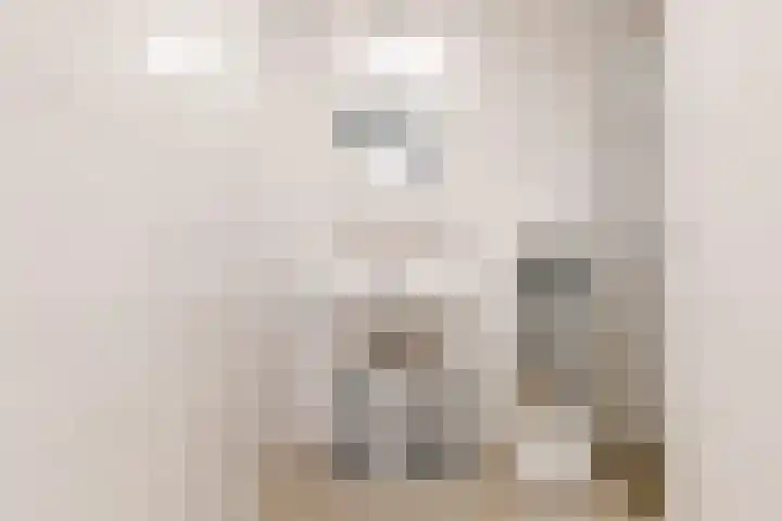 Veluwemeer 234 Woerden thumbnail 8