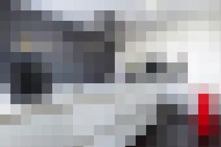 Veluwemeer 248 Woerden thumbnail 13