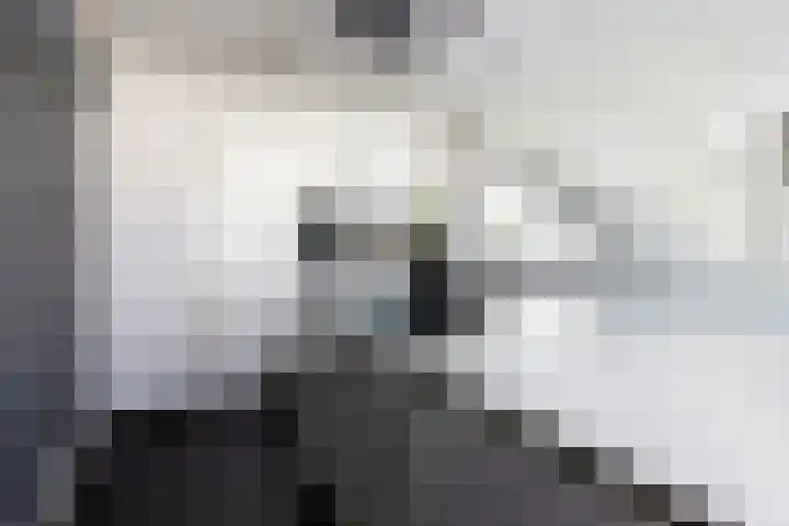 Veluwemeer 248 Woerden thumbnail 15