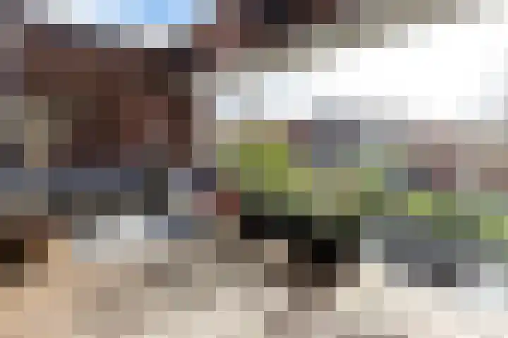 Veluwemeer 248 Woerden thumbnail 19