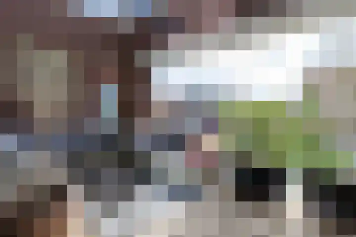 Veluwemeer 248 Woerden thumbnail 20