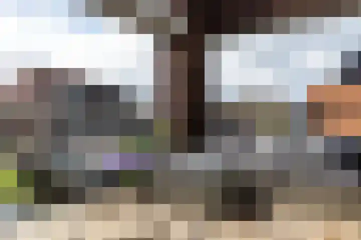 Veluwemeer 248 Woerden thumbnail 23
