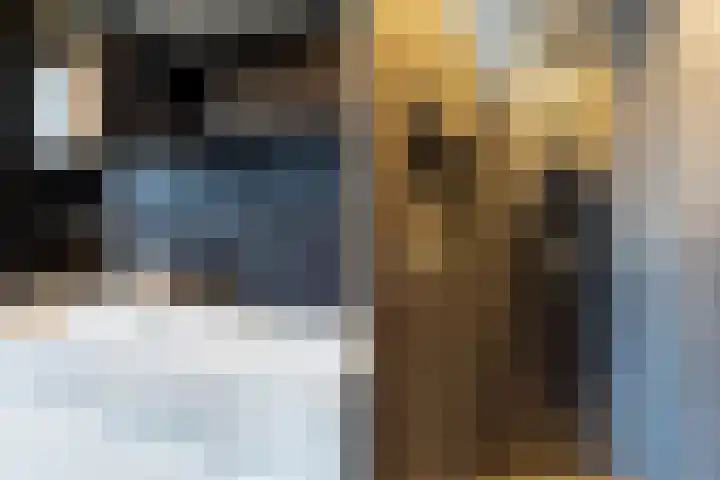 Veluwemeer 248 Woerden thumbnail 64