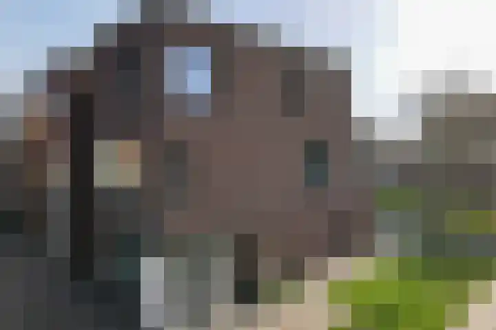 Veluwemeer 248 Woerden thumbnail 66