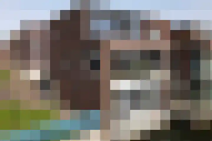 Veluwemeer 248 Woerden thumbnail 67