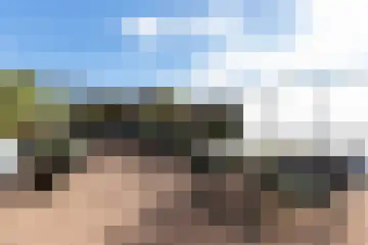 Veluwemeer 264 Woerden thumbnail 16