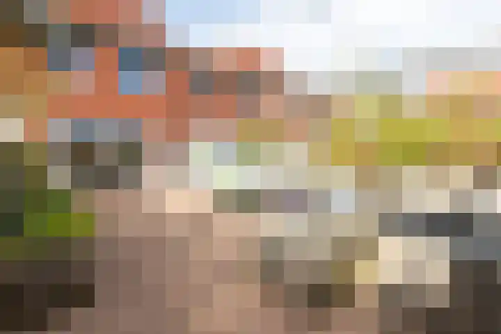 Veluwemeer 264 Woerden thumbnail 17