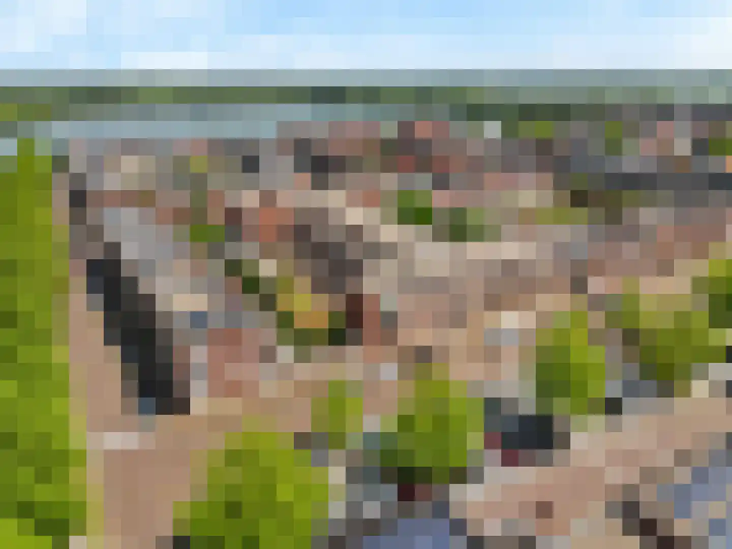 Veluwemeer 267 Woerden thumbnail 40