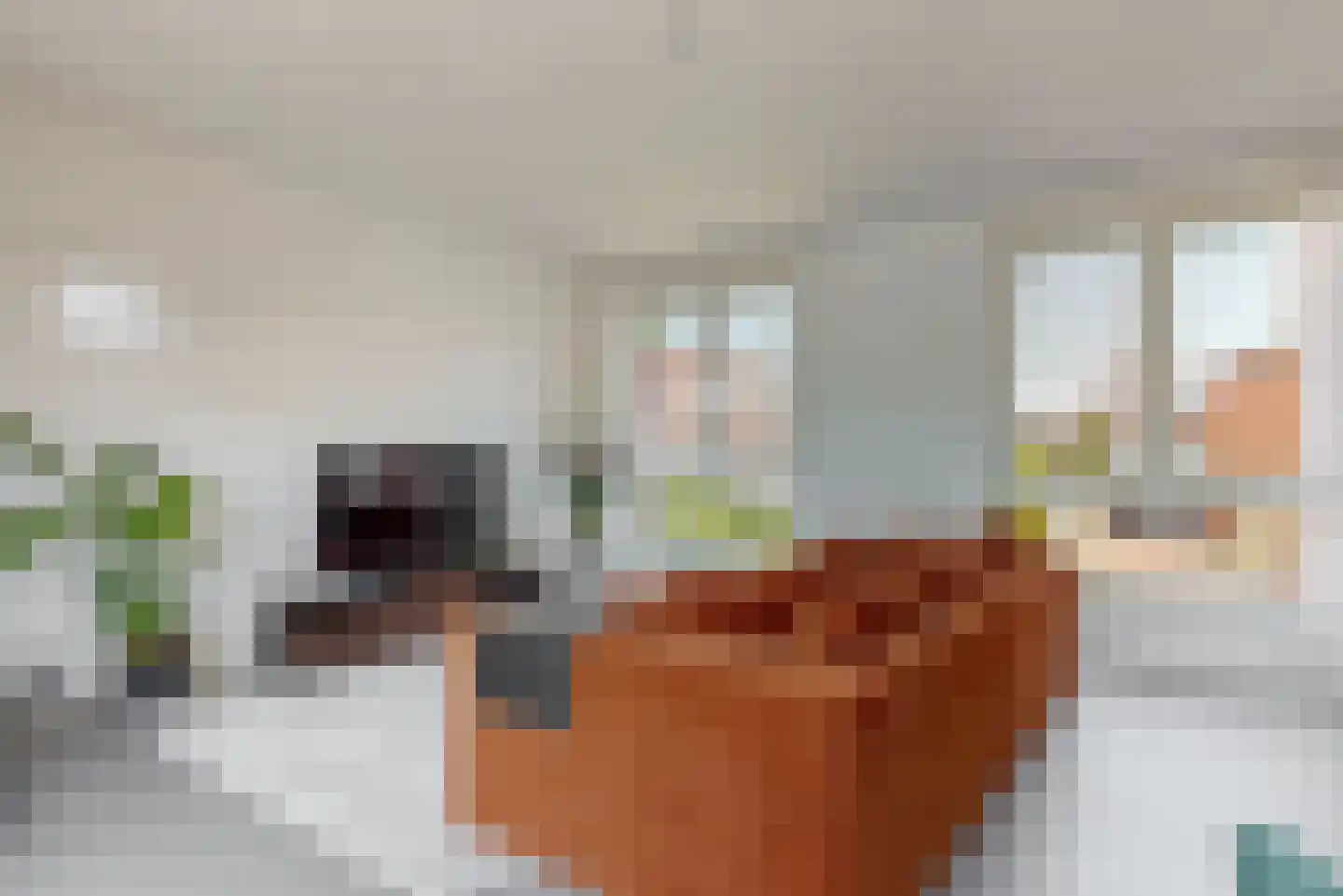 Veluwemeer 267 Woerden thumbnail 8