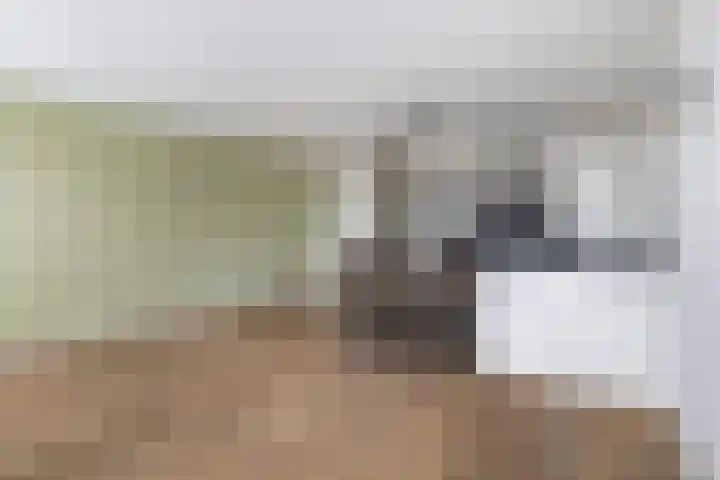 Veluwemeer 281 Woerden thumbnail 12