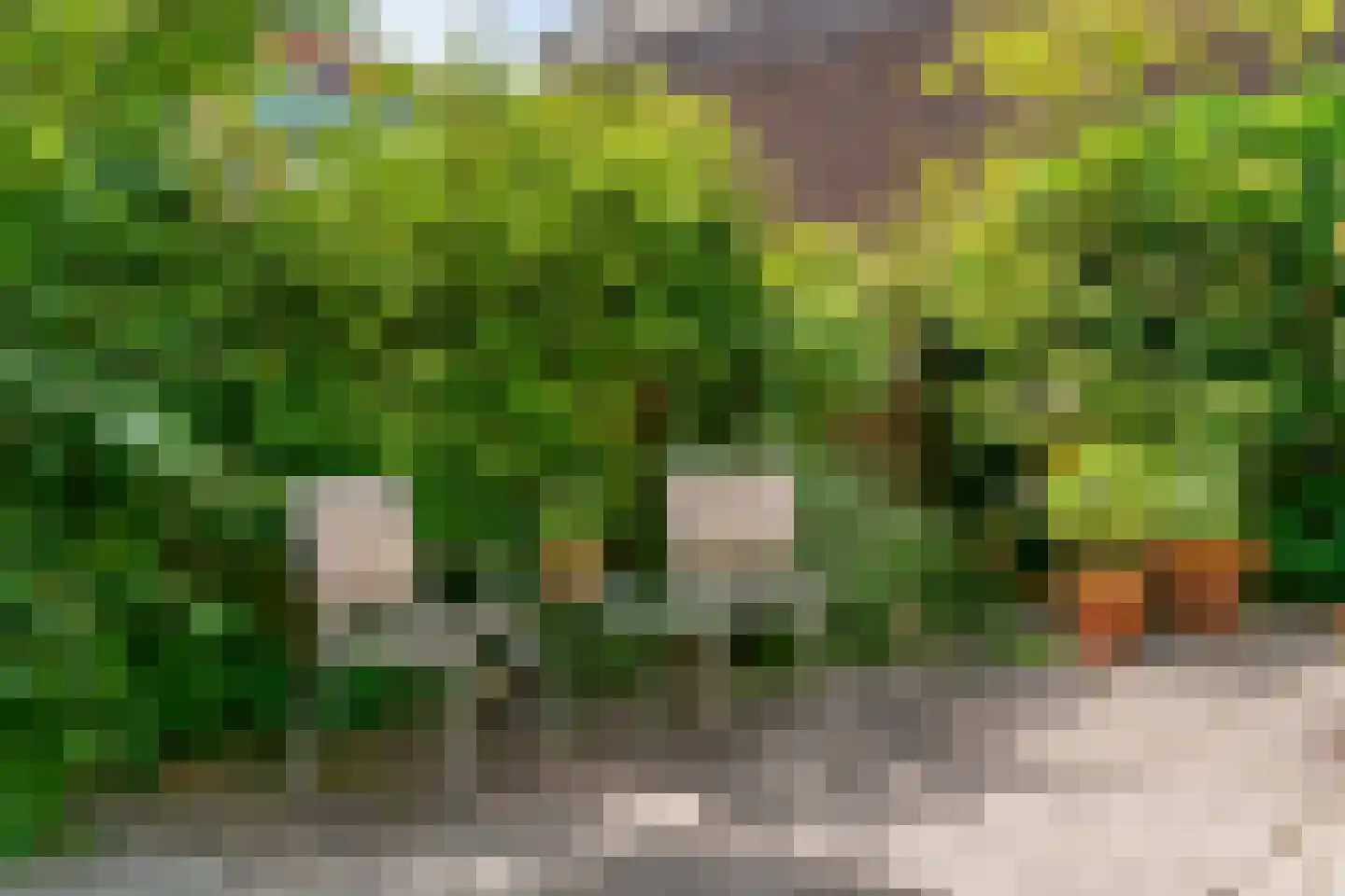 Veluwemeer 3 Woerden thumbnail 32