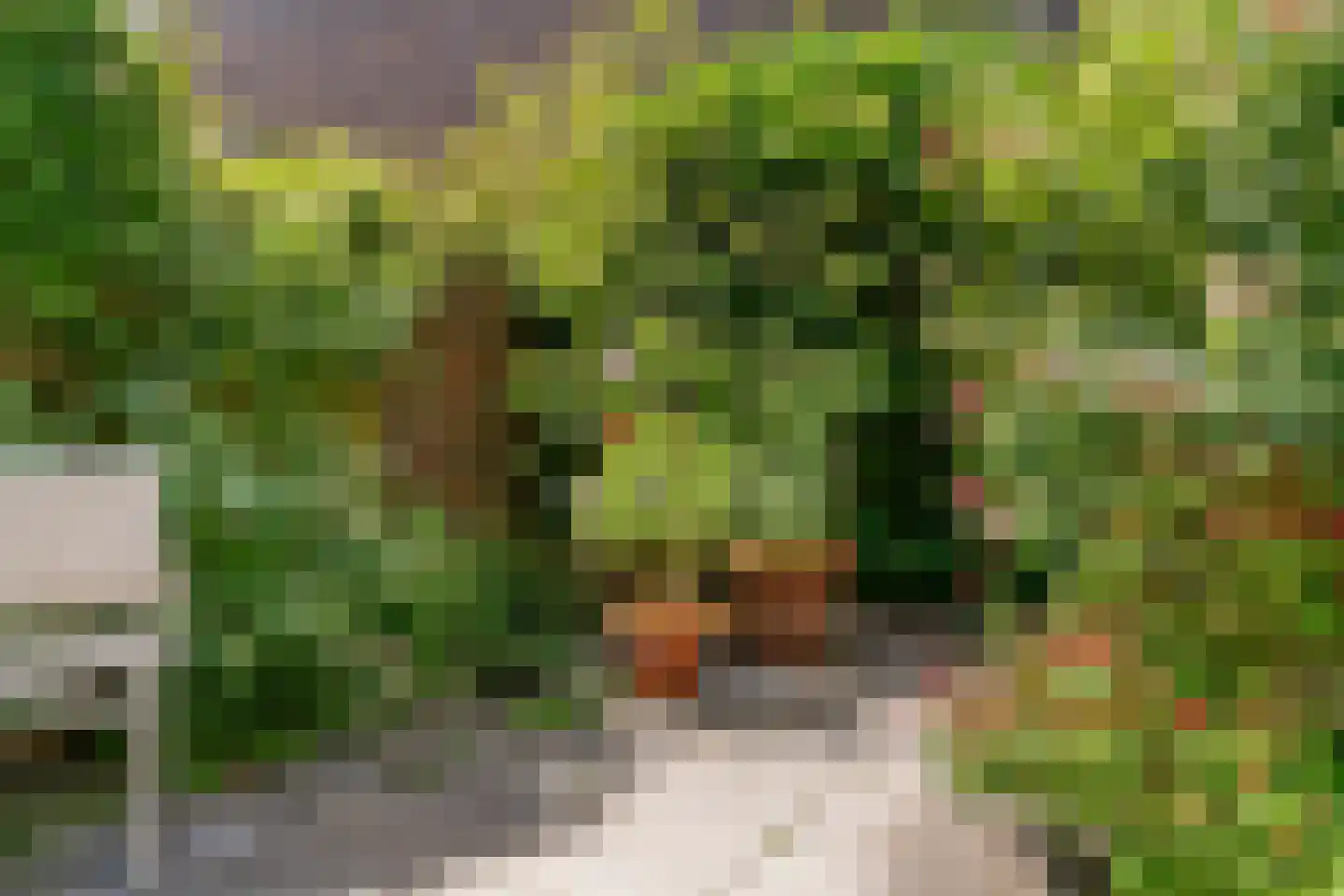 Veluwemeer 3 Woerden thumbnail 33