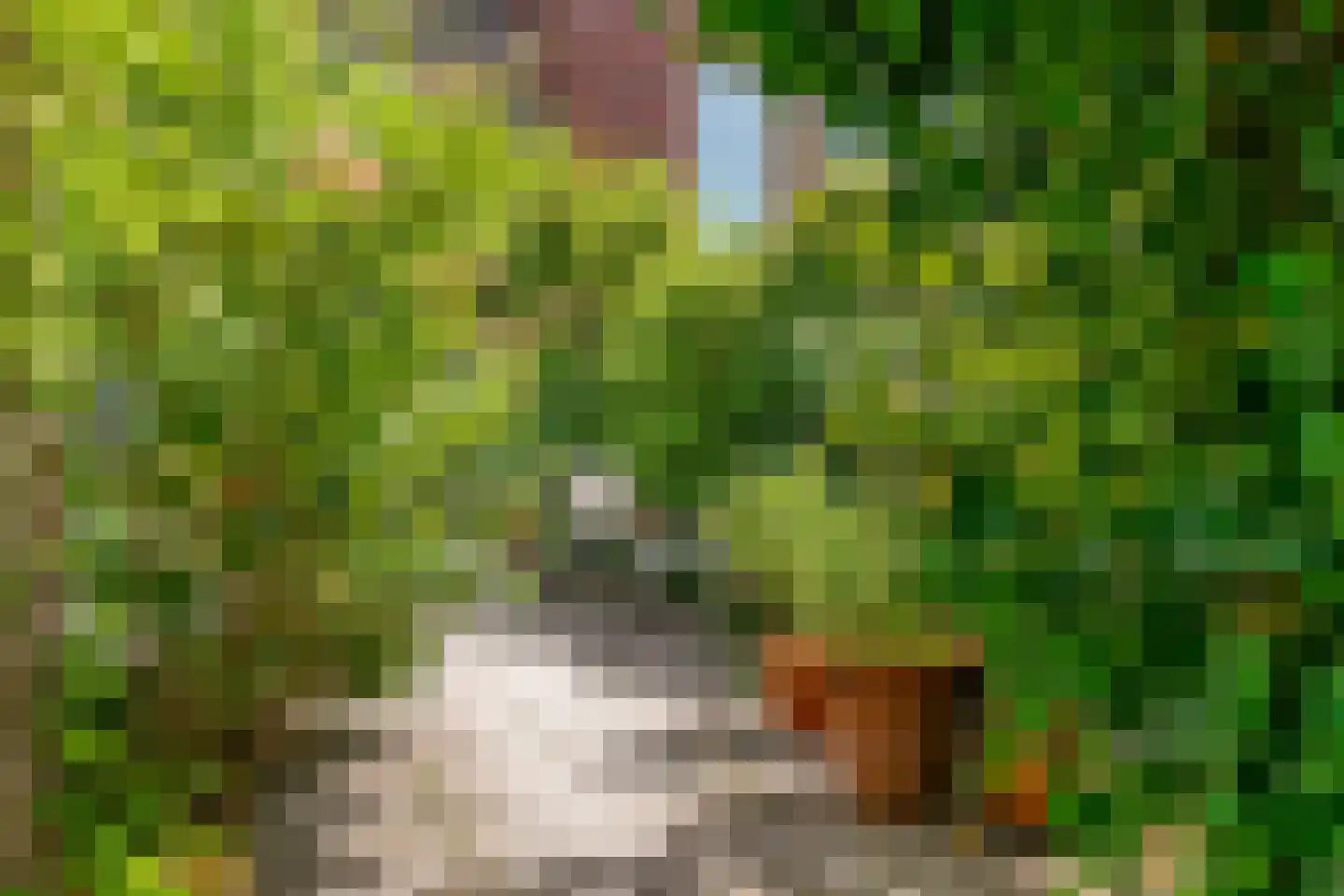 Veluwemeer 3 Woerden thumbnail 34