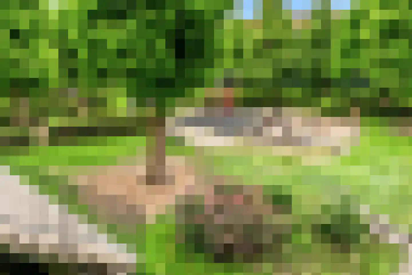 Veluwemeer 48 Woerden thumbnail 28
