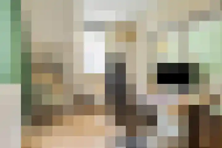 Veluwemeer 6 Woerden thumbnail 17