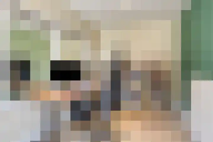 Veluwemeer 6 Woerden thumbnail 18