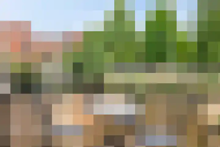 Veluwemeer 6 Woerden thumbnail 26