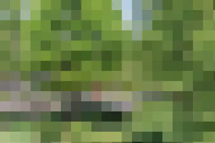 Veluwemeer 6 Woerden thumbnail 33