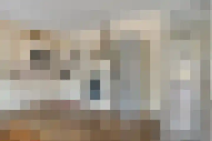 Veluwemeer 6 Woerden thumbnail 8