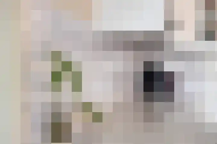 Veluwemeer 6 Woerden thumbnail 9