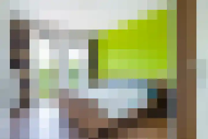 Veluwemeer 62 Woerden thumbnail 18
