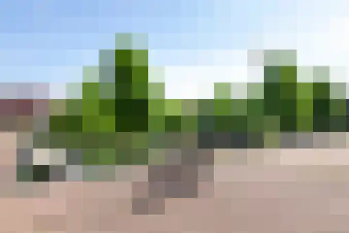 Veluwemeer 62 Woerden thumbnail 26