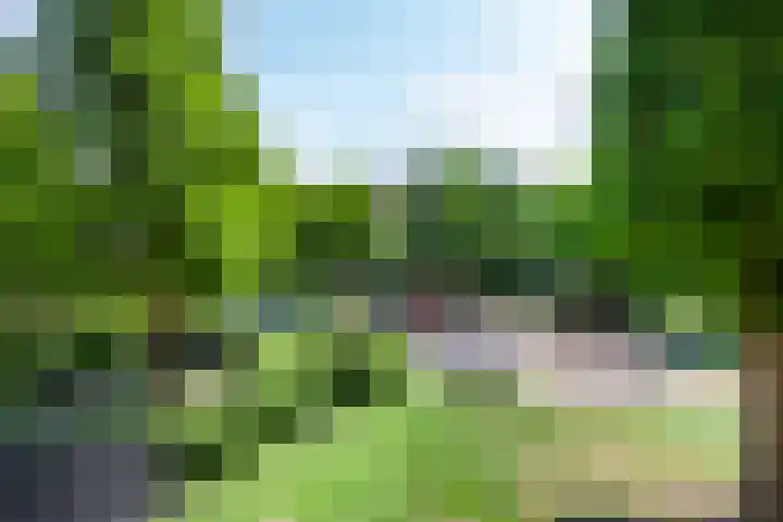 Veluwemeer 62 Woerden thumbnail 27
