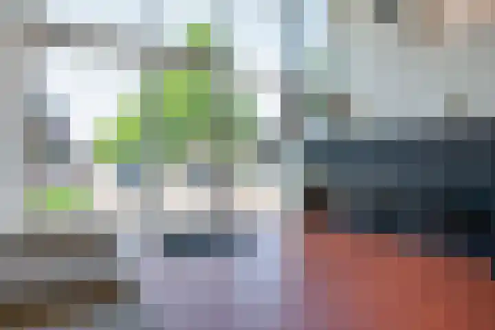 Veluwemeer 62 Woerden thumbnail 4