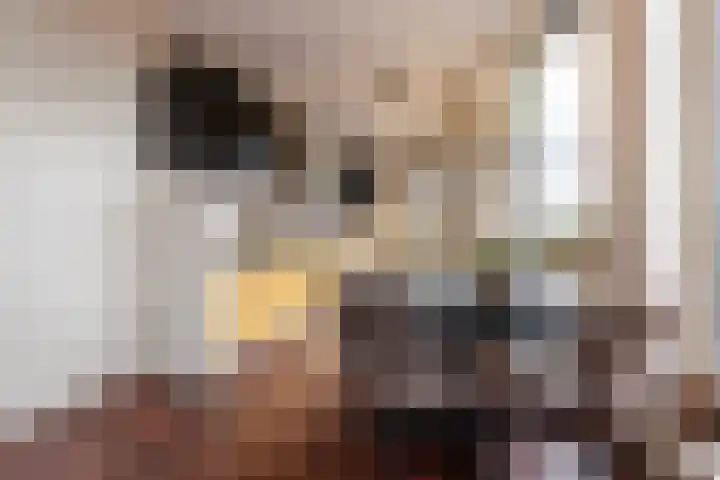Veluwemeer 76 Woerden thumbnail 11