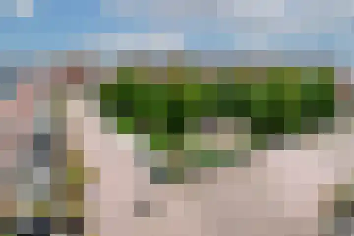 Veluwemeer 76 Woerden thumbnail 25