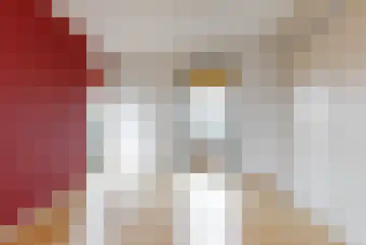 Veluwemeer 84 Woerden thumbnail 20