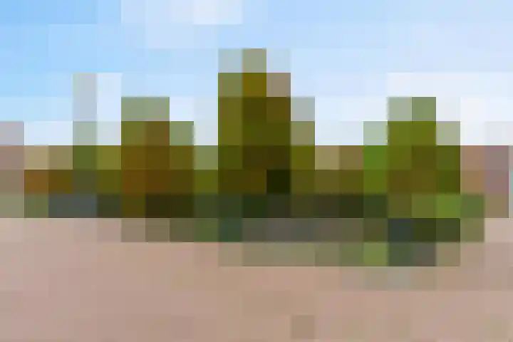 Veluwemeer 84 Woerden thumbnail 28