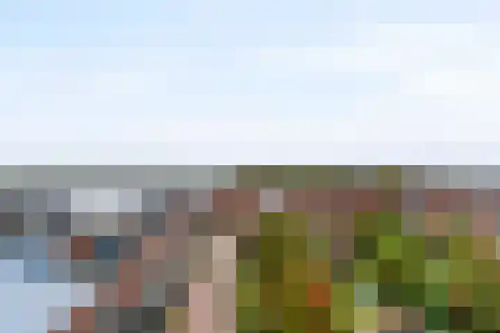 Veluwemeer 84 Woerden thumbnail 4
