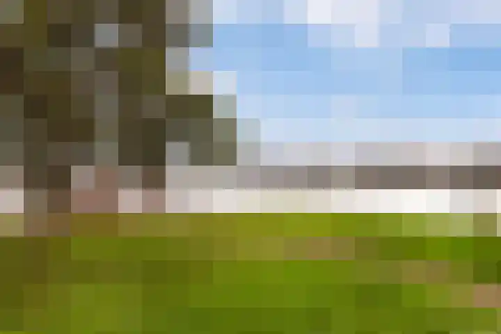 Veluwemeer 94 Woerden thumbnail 26