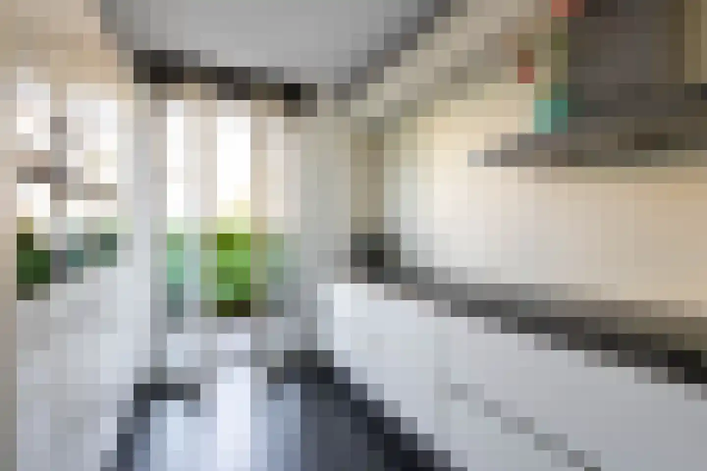 Veluwemeerplantsoen 28 Berkel en Rodenrijs thumbnail 19