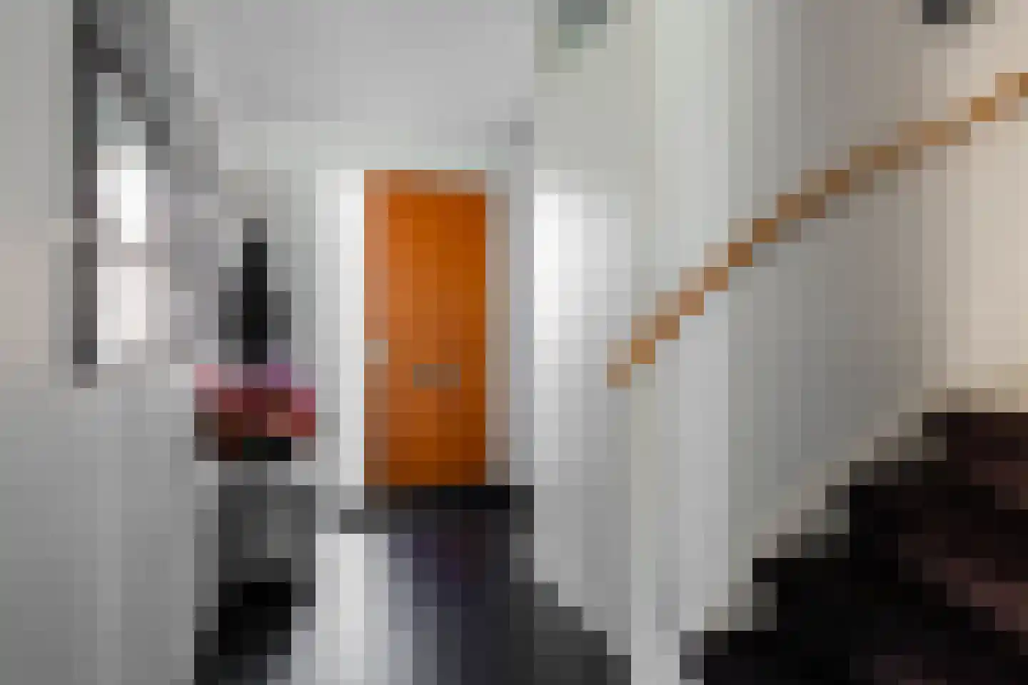 Veluwemeerplantsoen 28 Berkel en Rodenrijs thumbnail 24