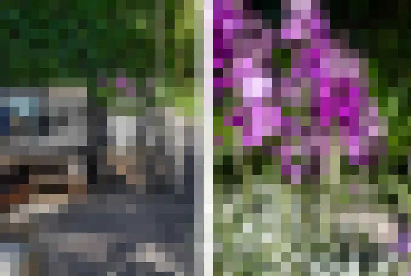 Veluwemeerplantsoen 28 Berkel en Rodenrijs thumbnail 46