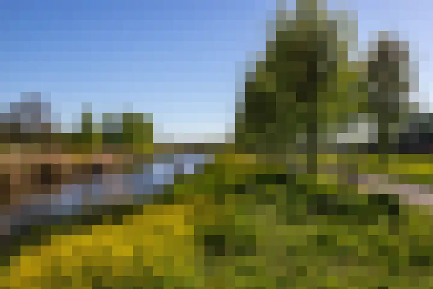 Veluwemeerplantsoen 28 Berkel en Rodenrijs thumbnail 58