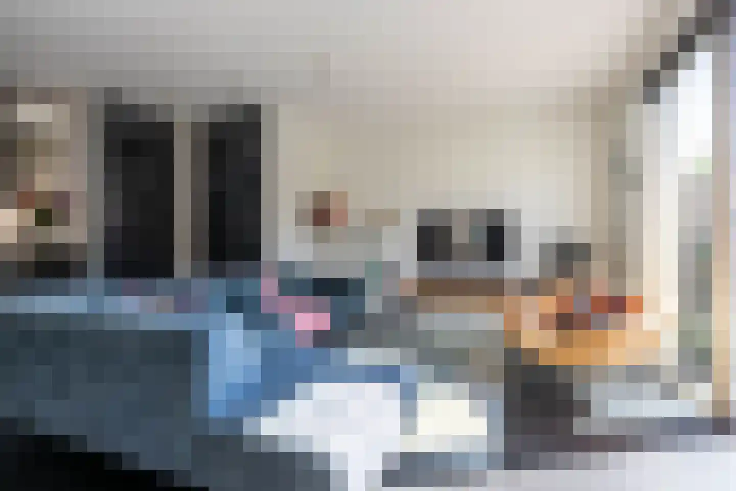 Veluwemeerplantsoen 28 Berkel en Rodenrijs thumbnail 6
